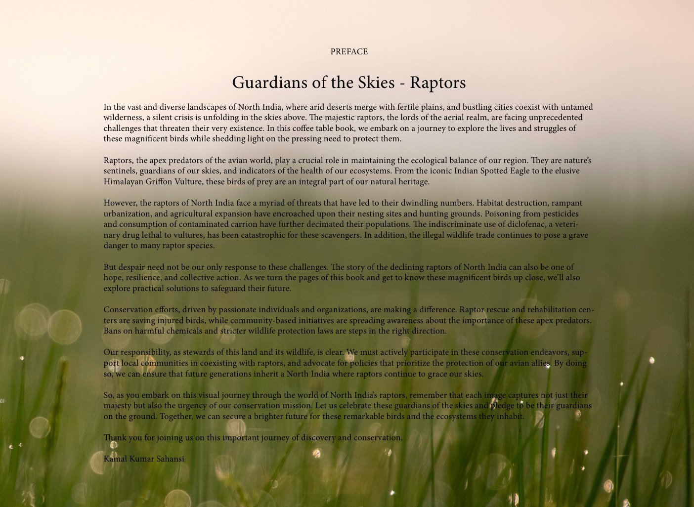 Guardians of the Sky — page 5